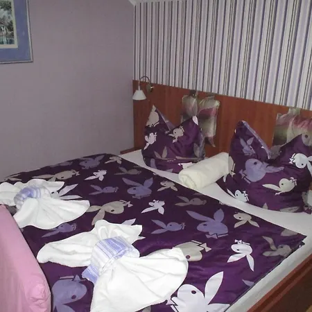 בית הארחה Residenz Iva פראג